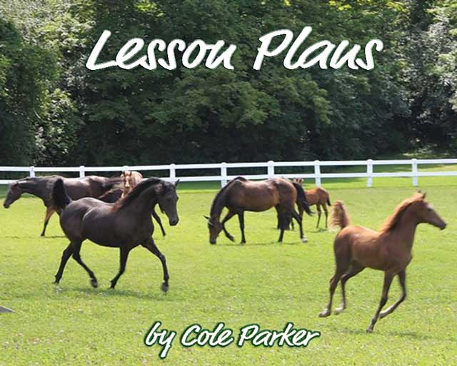 Lesson Plans by Cole Parker