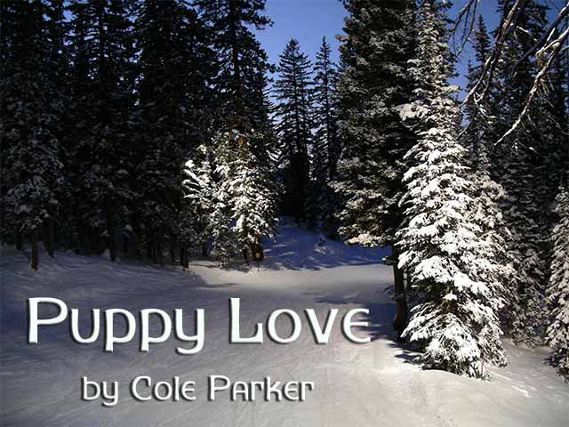 Puppy Love by Cole Parker