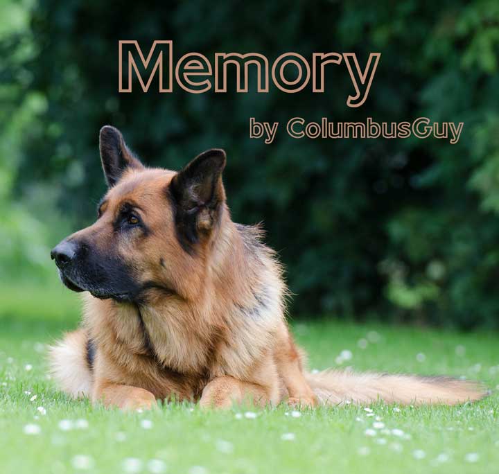 Memory by ColumbusGuy