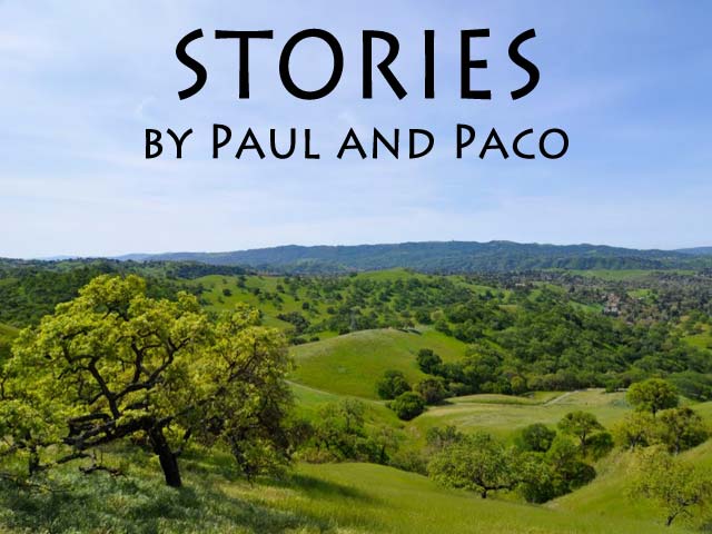 Stories by Paul and Paco