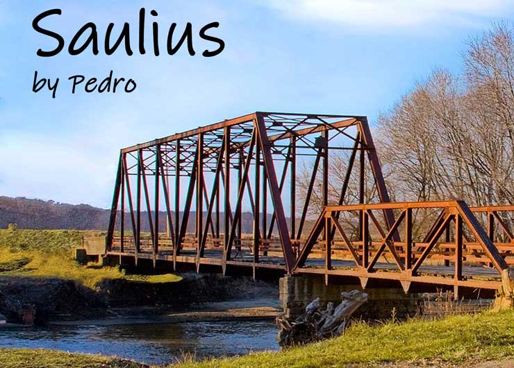 Saulius by Pedro