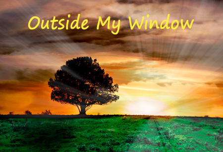 Outside My Window - A Poem by Richard Norway