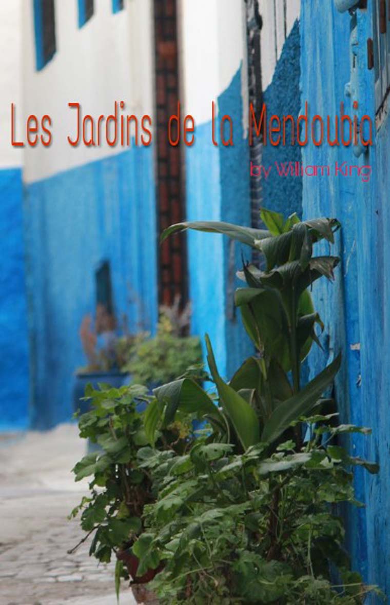Les Jardins de la Mendoubia by William King